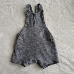 Szürke kantáros rövidnaci (62)