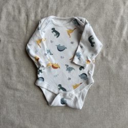 Dinos body (56)