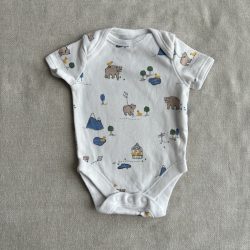 Macis body (56)