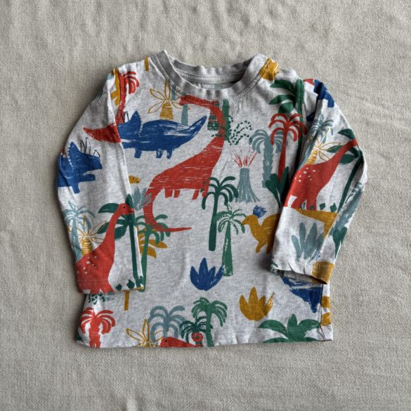 Színes dinós felső (86)